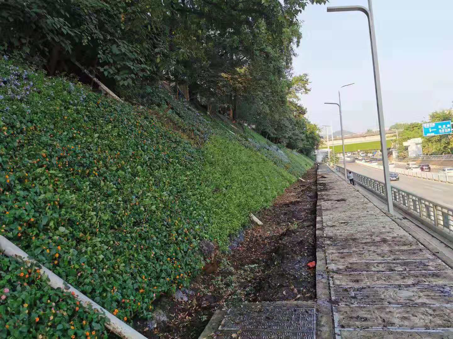 Regenerative Landscape Brick