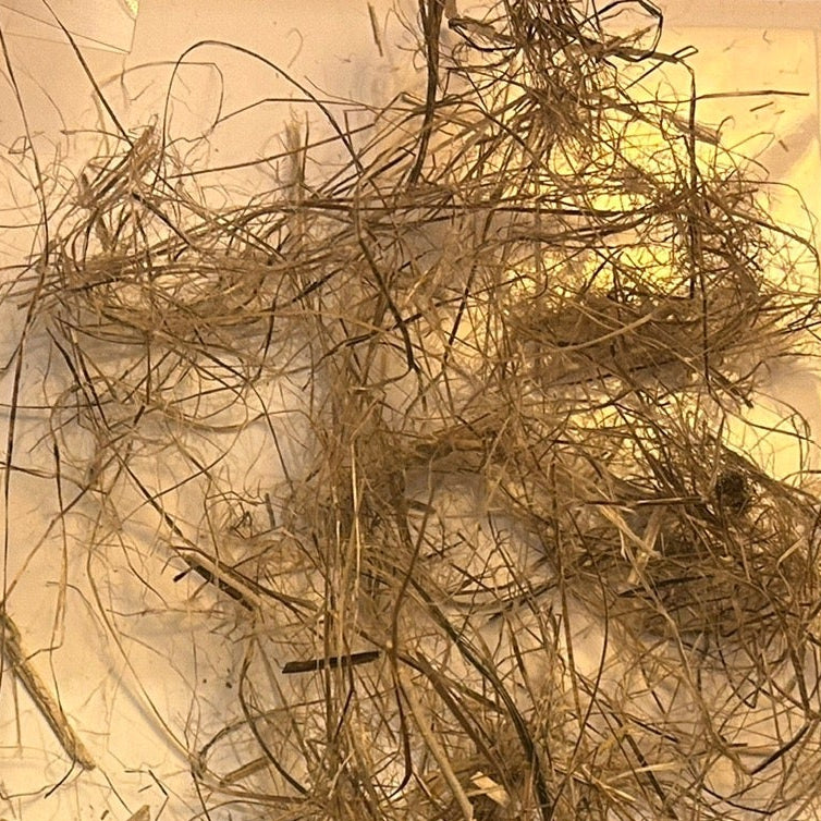 Hemp Bast processed level 2 from raw fiber