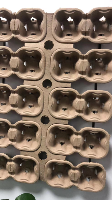 Close-up of a cardboard egg carton with multiple compartments. CIRCULARIS DESIGN SHIPPING PACKAGING CUSTOM