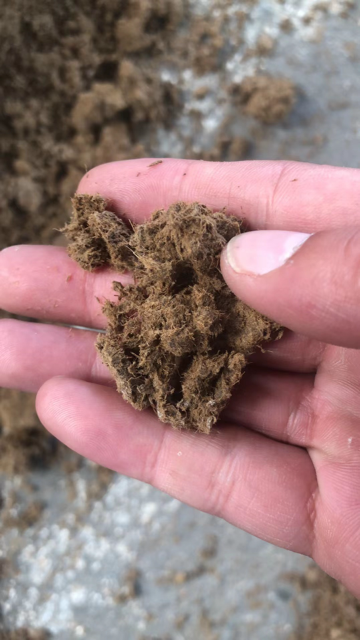 Regenerative Landscape Brick