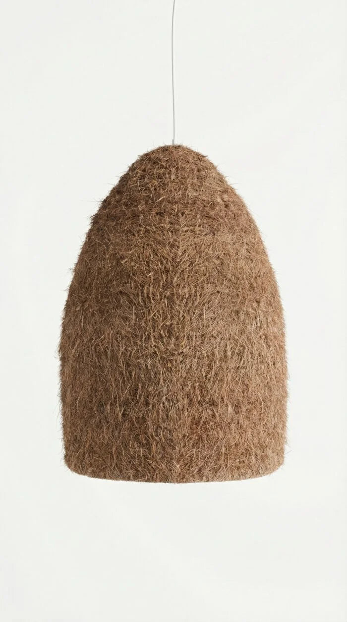Natural Coconut Lights